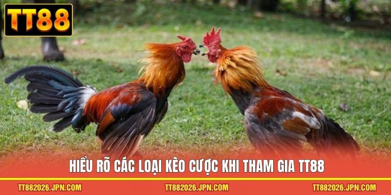 Hiểu rõ các loại kèo cược khi tham gia TT88